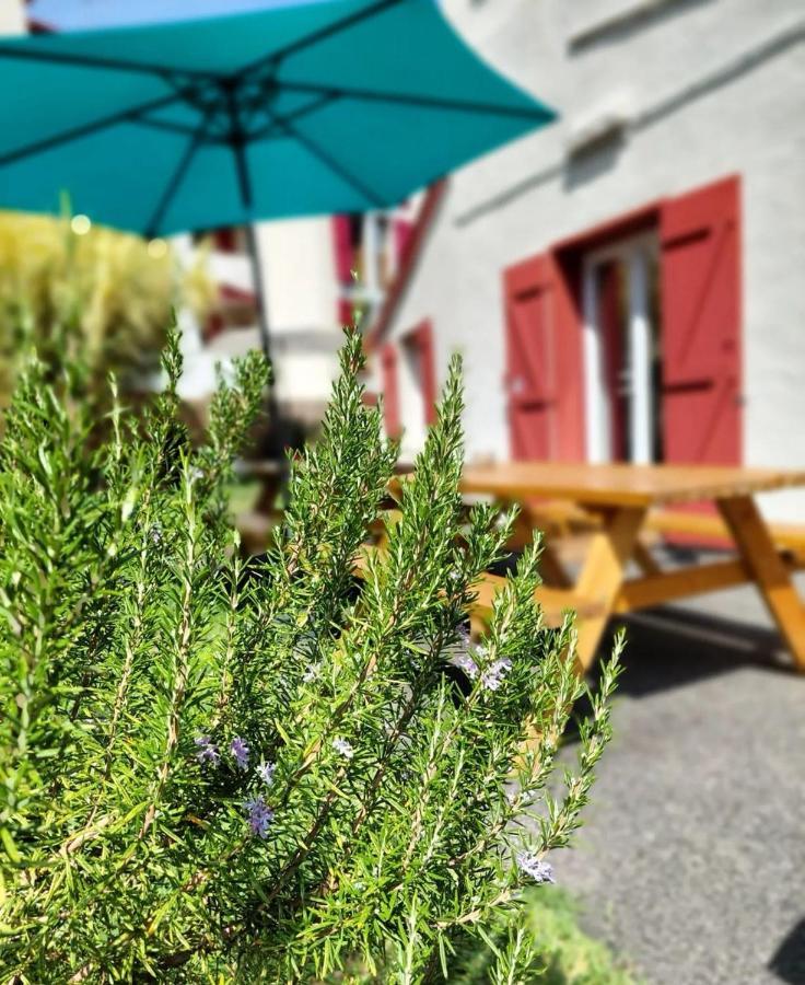 Garden - Utopy Hostel Biarritz Kültér fotó